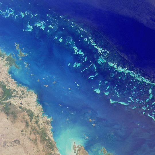 The Great Rebrand: From Claw to OpenClaw — GreatBarrierReef-EO