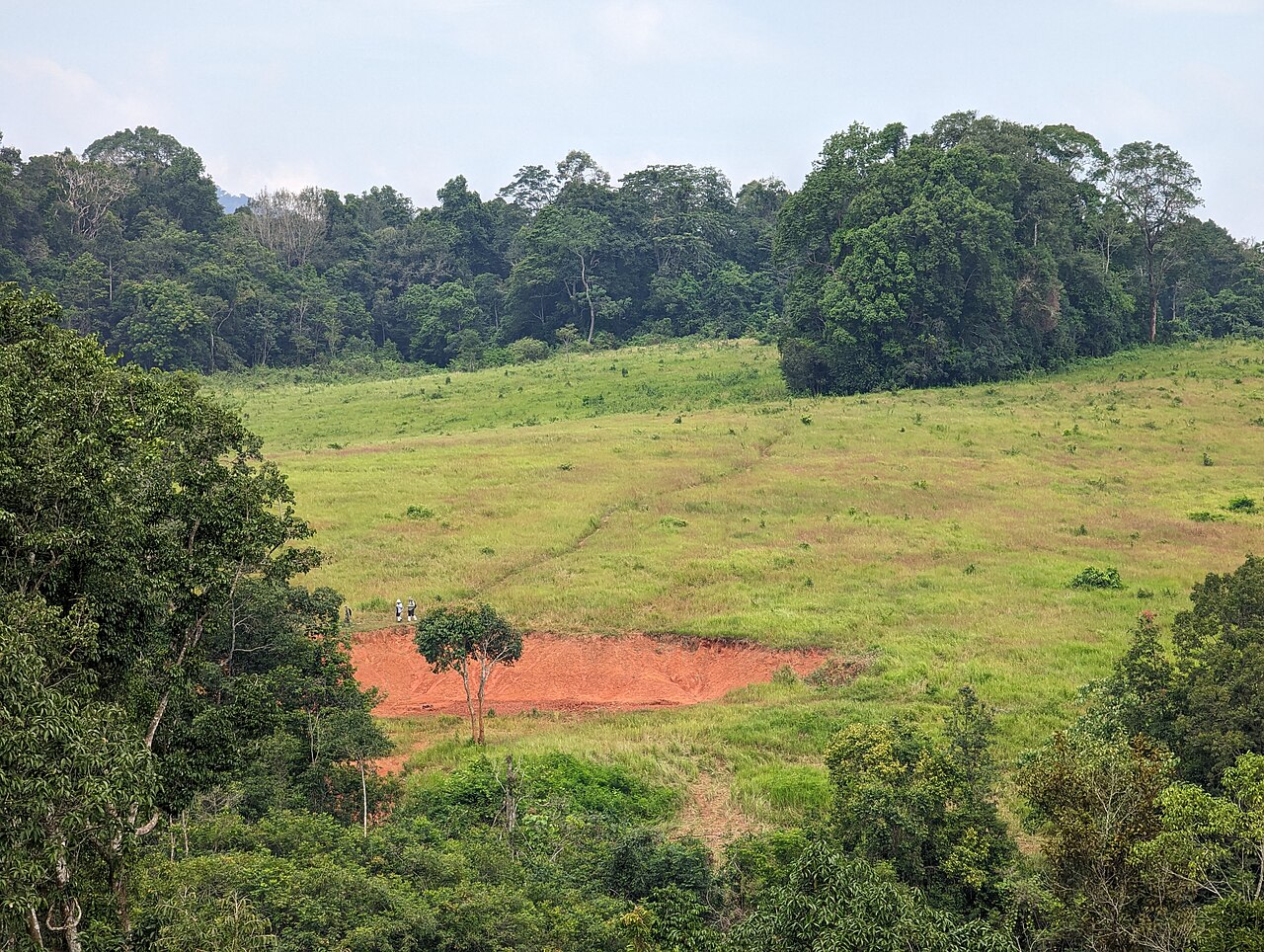 The Complete Guide To Building, Training And Living With Your OpenClaw AI Agent — Tourists and their guide walking the 