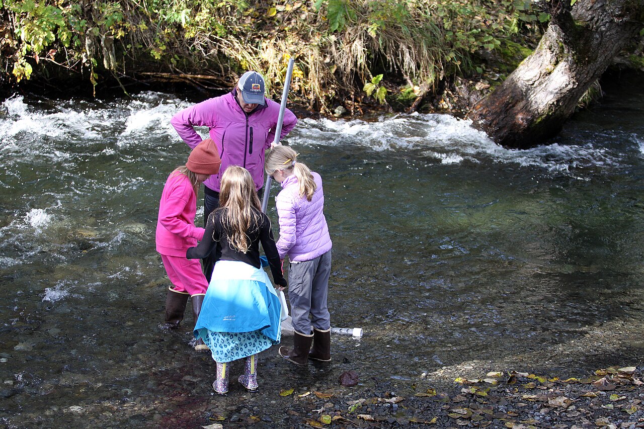 Turn Your Laptop Into an AI Agent with Free OpenClaw and Telegram Setup — Your Turn (53393788791)