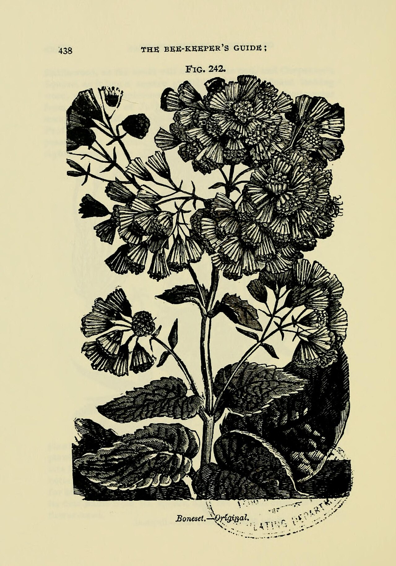 New Hackster Guide Shows How to Run OpenClaw AI Agents on Raspberry Pi 5 — The bee-keeper's guide (Page 438) BHL18189113