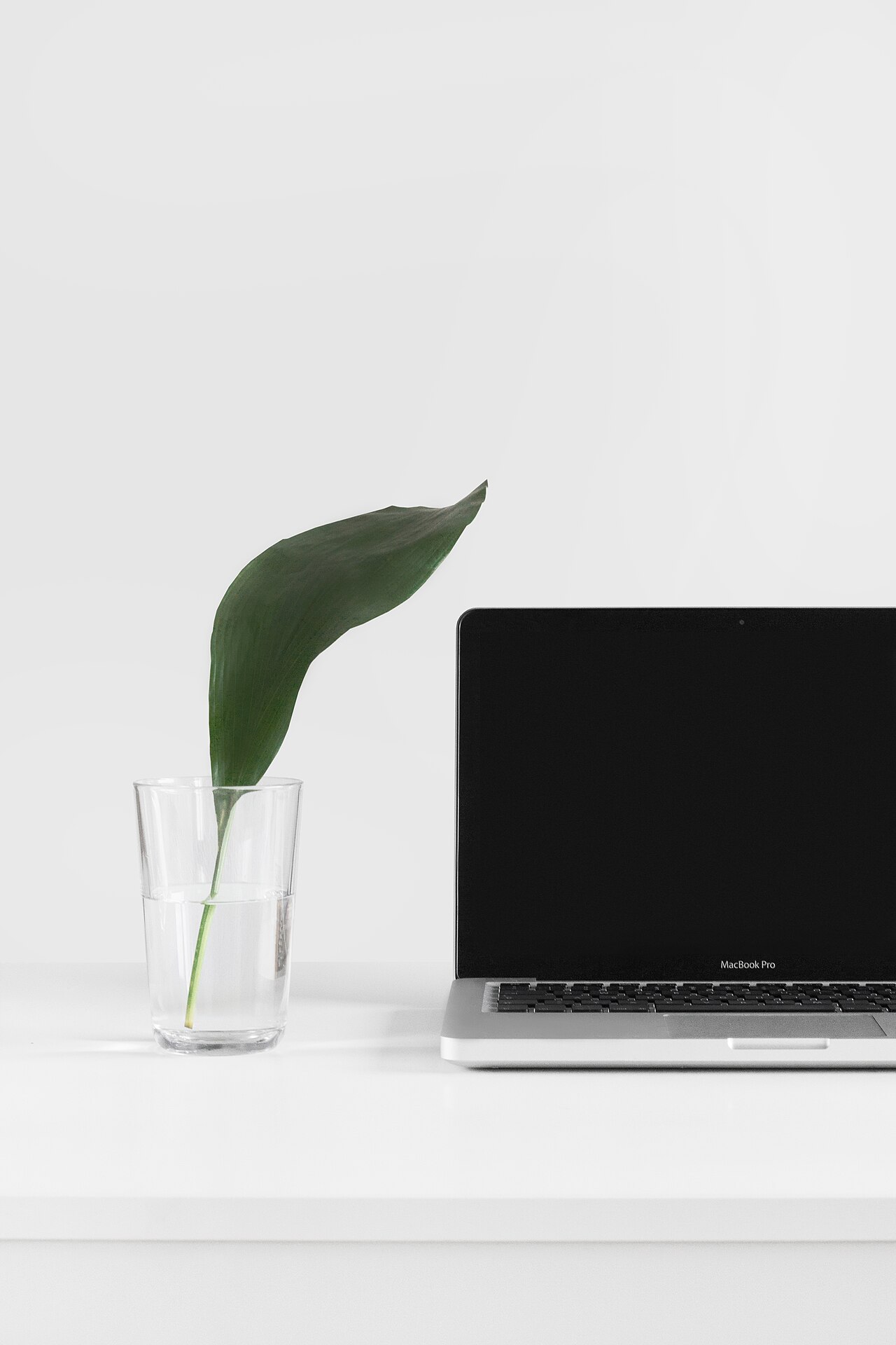 Old MacBook Uses Mirror and Webcam to Let AI Agent Code AMD GPU Drivers — Fresh leaf near a MacBook (Unsplash)