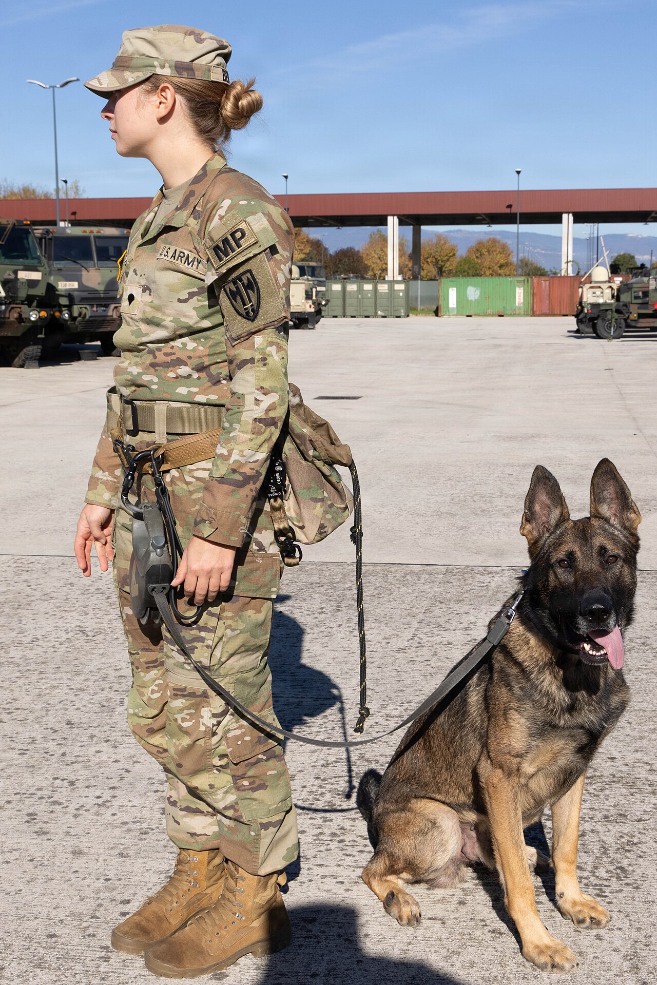 Grizzly Vidyalaya Promotes Holistic Education Model Over Pure Academics — Unleashing potential- military working dogs benefit from holistic health, fitness (9379888)