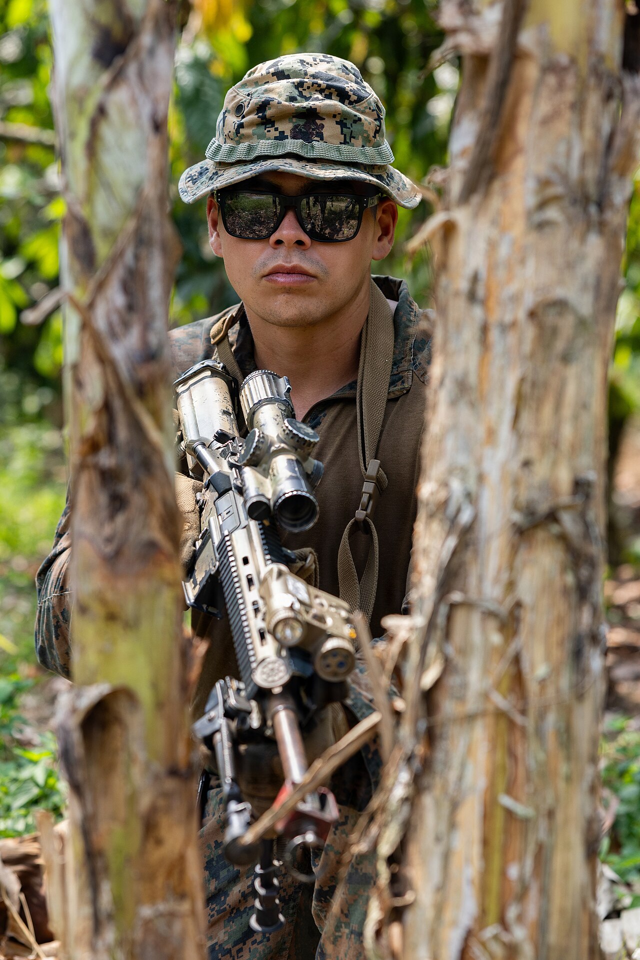 HN Thread on AI Survival Odds Gathers Dust With One Upvote — MRF-D Marines participate in jungle survival exchange (9879088)