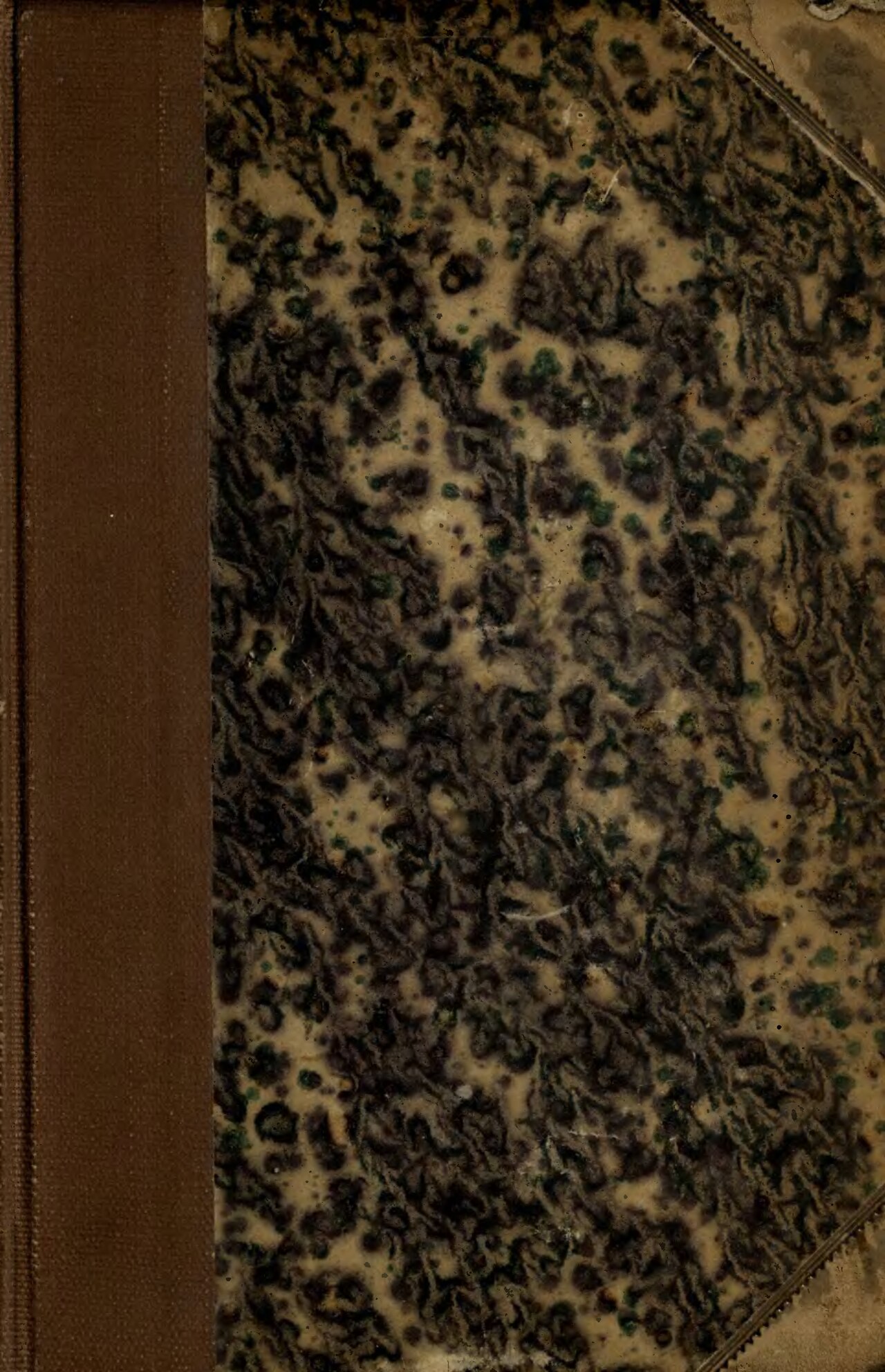 AP Stylebook Tells Writers to Stop Humanizing AI — Female Prose Writers of America