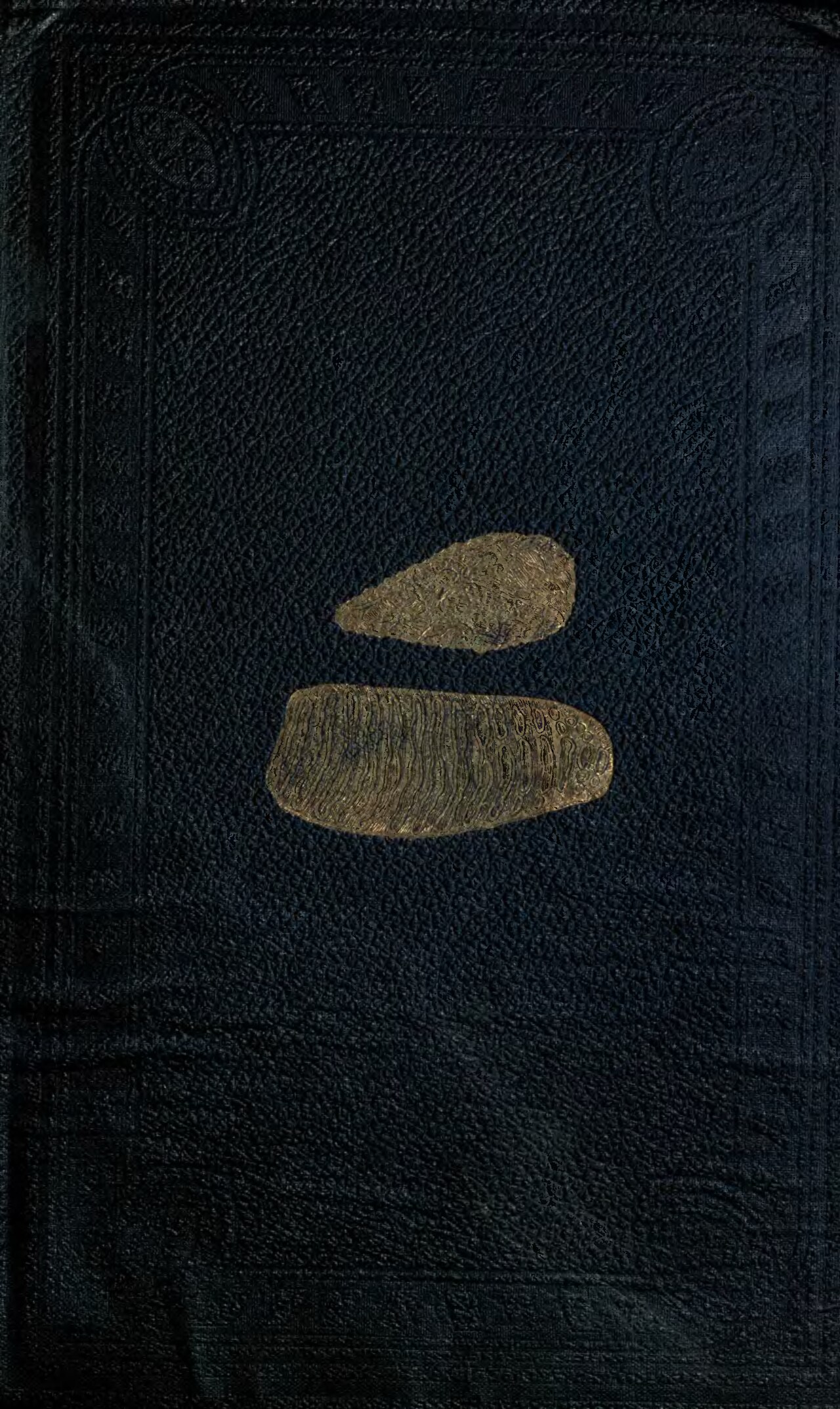 FACTRAIL MCP Introduces Evidence Envelopes to Stop Agent Hallucinations — Geological Evidences of the Antiquity of Man