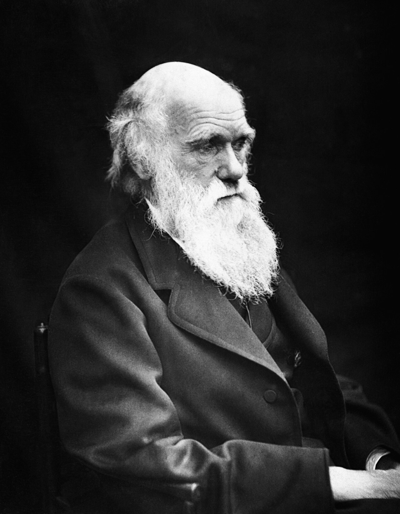 Darwin-180B-RSI Tops Nine Hugging Face Benchmarks via Recursive Self-Improvement — Charles Darwin 01