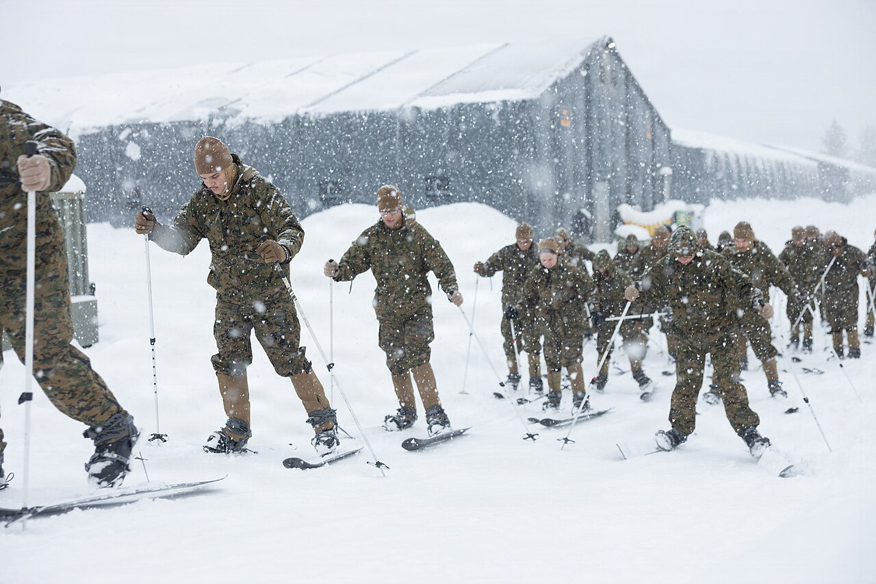 Sentry Learns From Agent Failures to Boost Recovery Rates by 37 Percent — CORE26 - U S Marines, Sailors Learn Basic Skiing Techniques for Arctic Exercise (9528286)