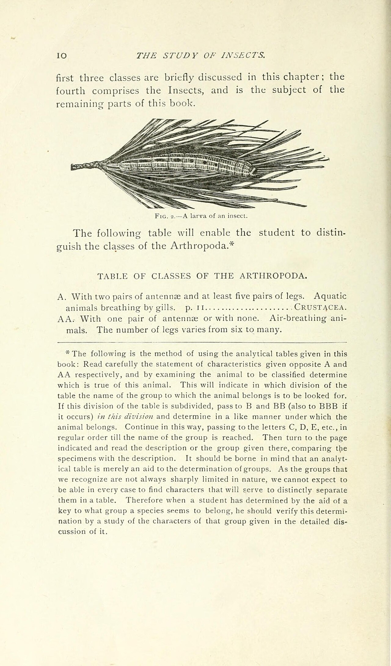 Study Finds 10 Minutes of AI Use Erodes Persistence for Complex Tasks — A manual for the study of insects (Page 10) BHL18343017