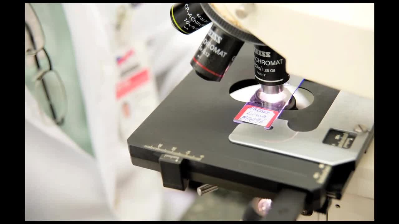 Safe Labs AI Research Exposes Gaps in Text-Only Agent Safety Evaluations — Strengthening Labs for a Healthier and Safer World