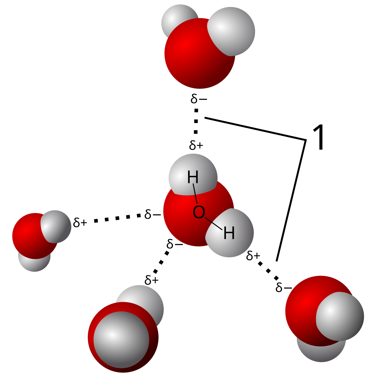Embedding Model Swaps Yield 22-Point Recall Gains in RAG Pipelines — 3D model hydrogen bonds in water