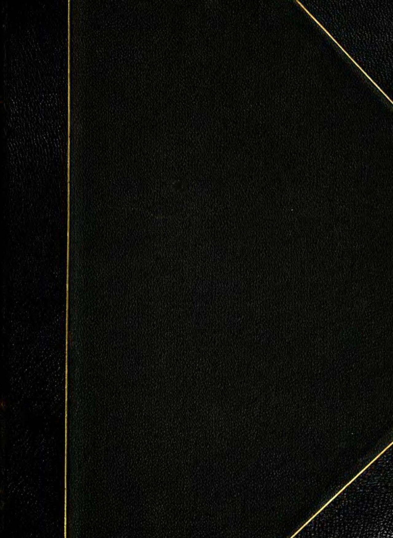 Veteran Contractor Questions Viability of Offshore Dev Teams in Agentic AI Era — Confederate Veteran (Volume 11)