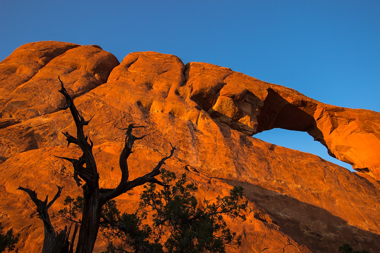 LLM Peer Reviewers Skew Toward Confident Language Over Scientific Merit — Skewed Skyline Arch (10802674796)