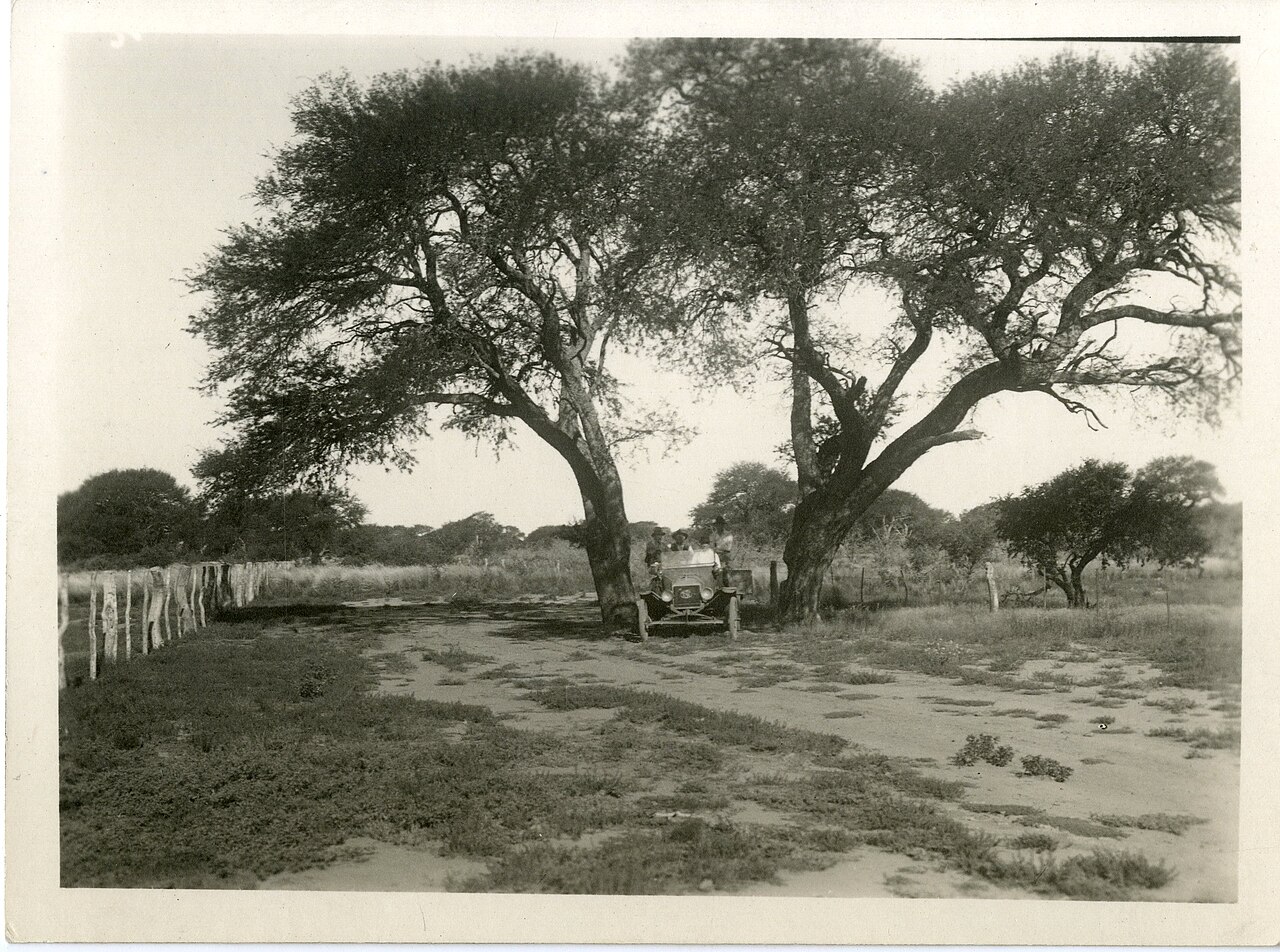 Hi3D Unveils V3.0 Model Claiming First Commercial 2048³ Voxel Resolution — Ford Model T, Caldenes in 1924, San Luis